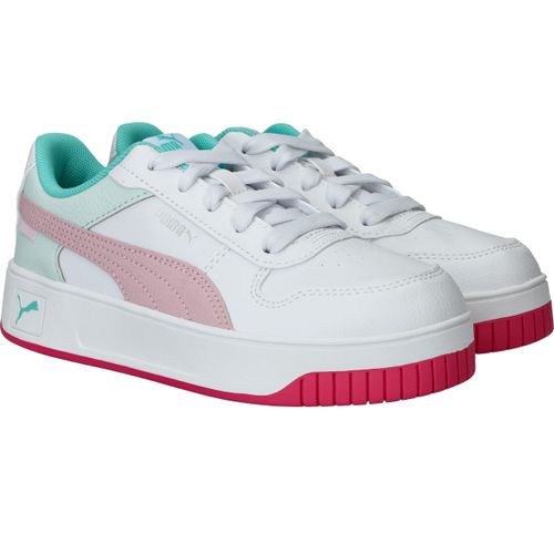 Durlinger Puma Carina Street PS