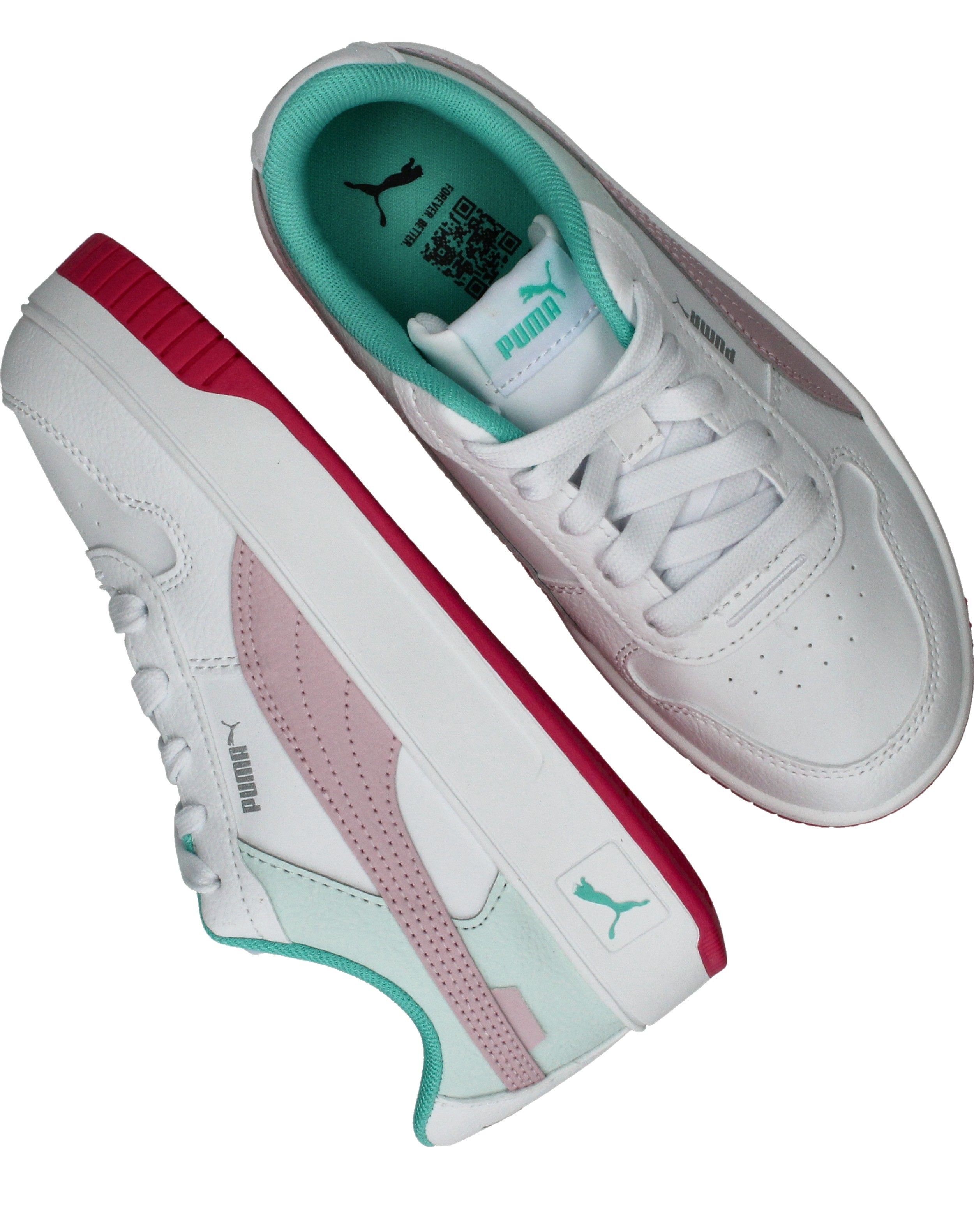 Durlinger Puma Carina Street PS