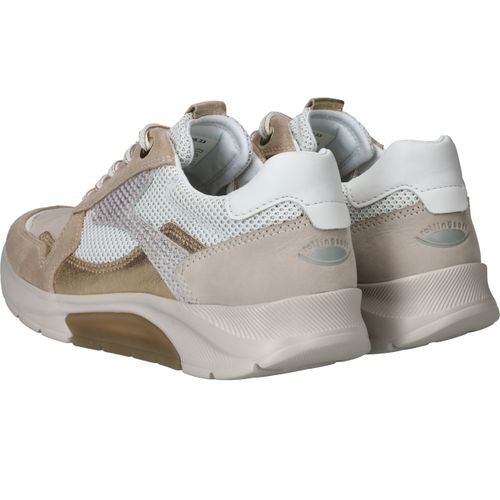 Durlinger Gabor Rollingsoft