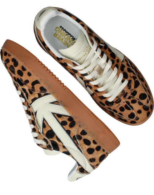 Durlinger Kaotiko Boston V