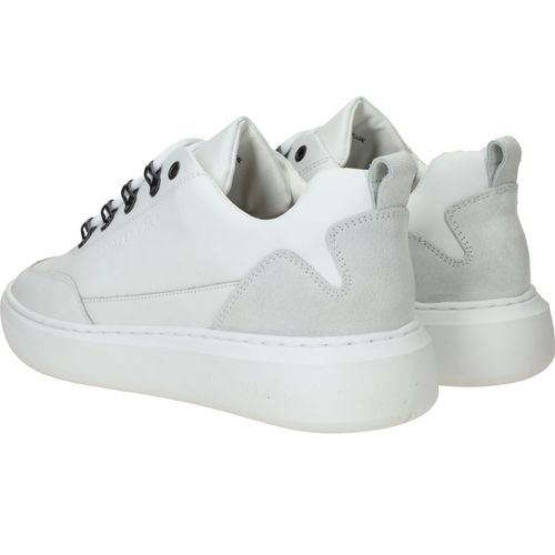 Durlinger Cycleur DLX Brink