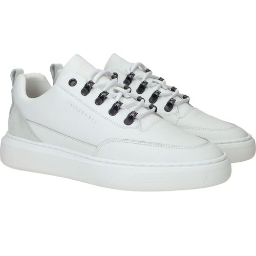 Durlinger Cycleur DLX Brink