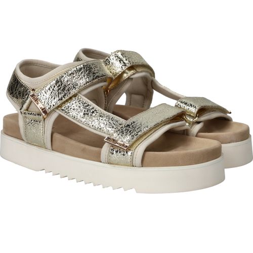 Durlinger Maruti Beau