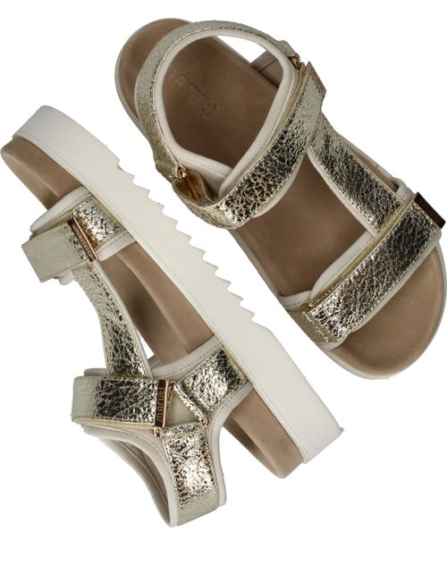 Durlinger Maruti Beau