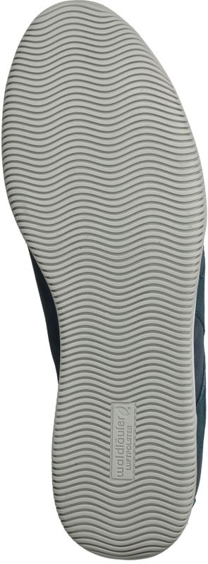 Durlinger Waldlaufer Pamela