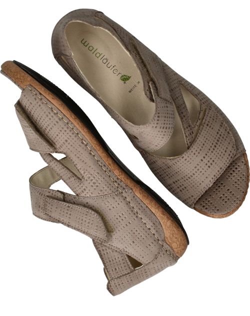 Durlinger Waldlaufer Heliett