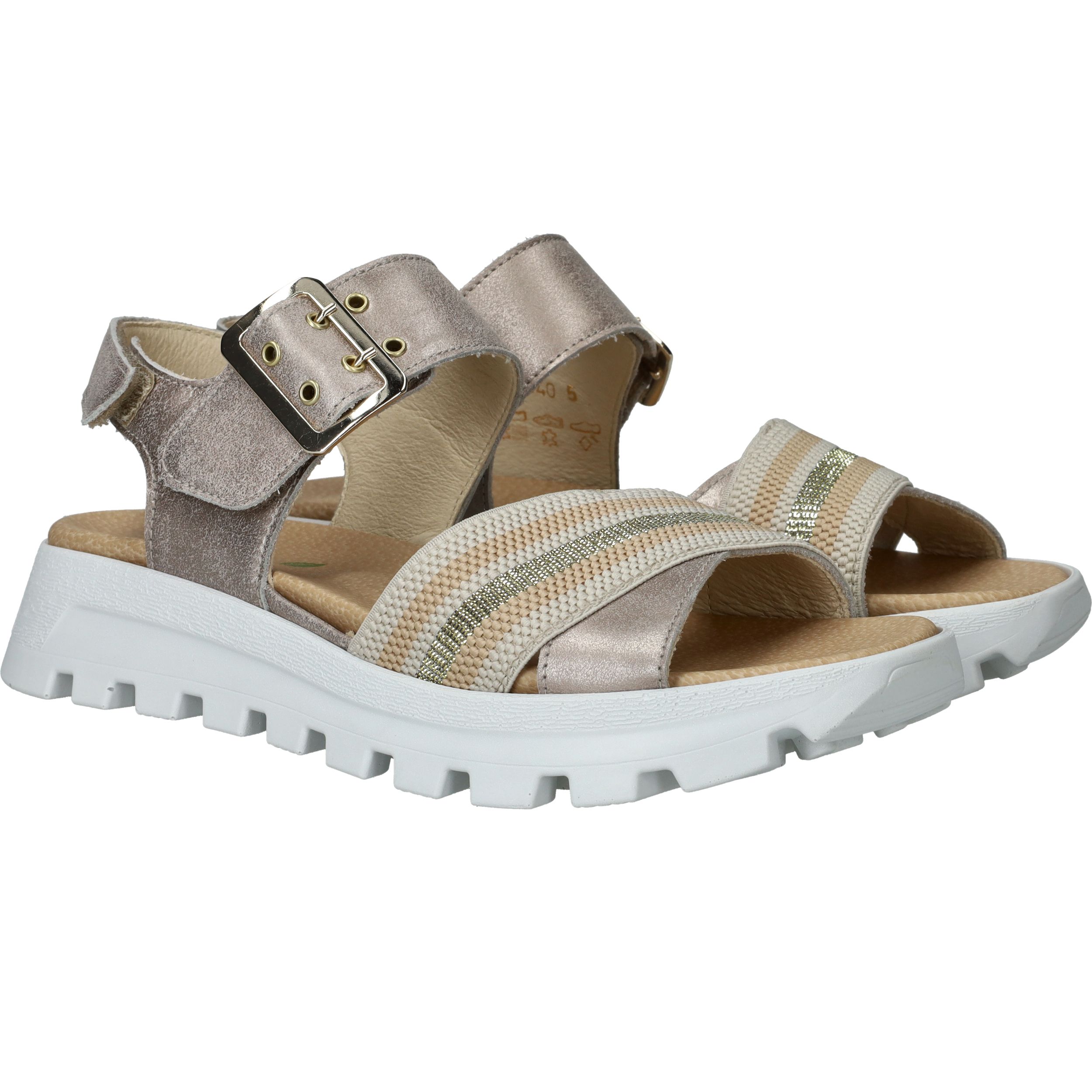 Durlinger Waldlaufer Nele