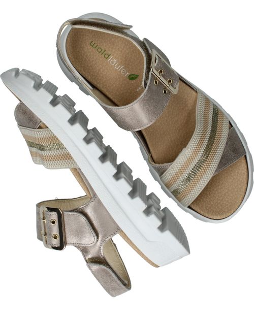 Durlinger Waldlaufer Nele