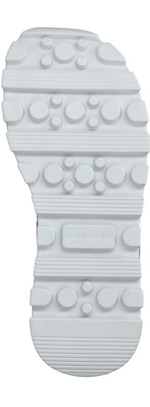 Durlinger Waldlaufer Nele