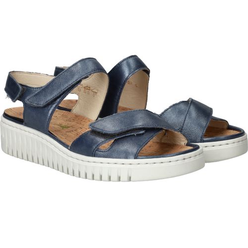 Durlinger Waldlaufer Willow