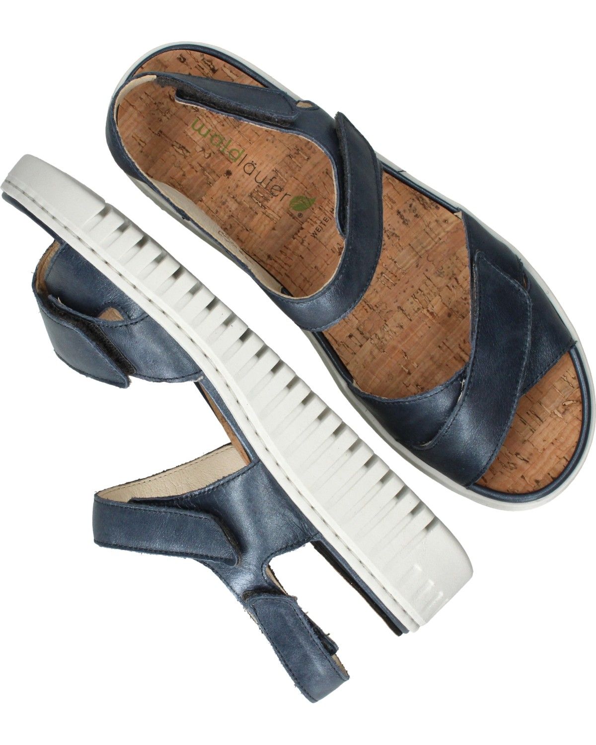 Durlinger Waldlaufer Willow