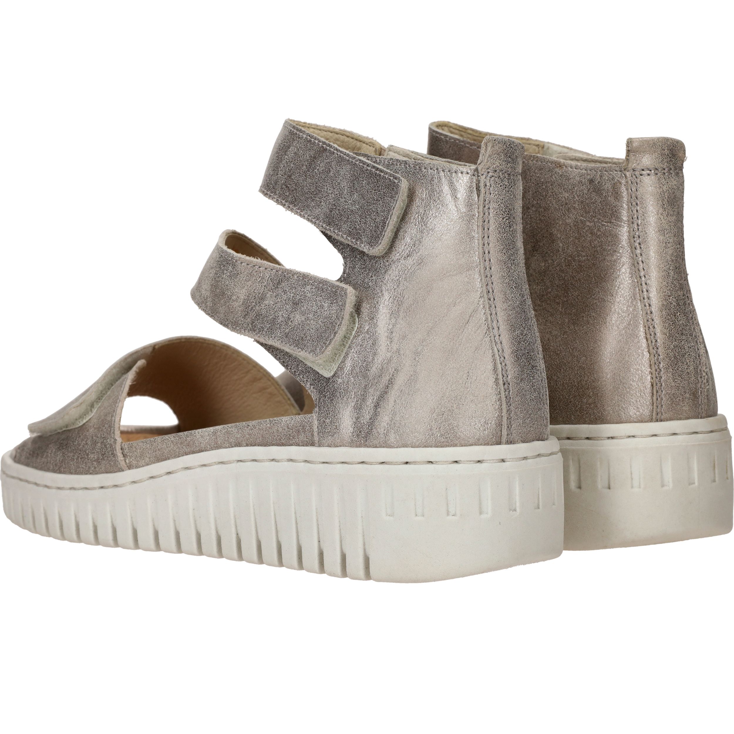 Durlinger Waldlaufer Willow