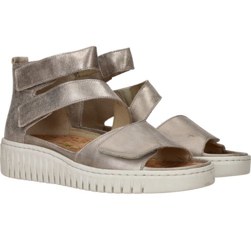 Durlinger Waldlaufer Willow