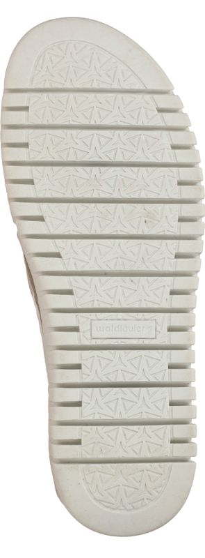 Durlinger Waldlaufer Willow