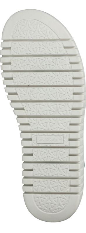 Durlinger Waldlaufer Valerie