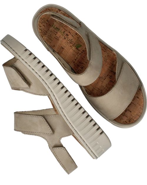 Durlinger Waldlaufer Valerie