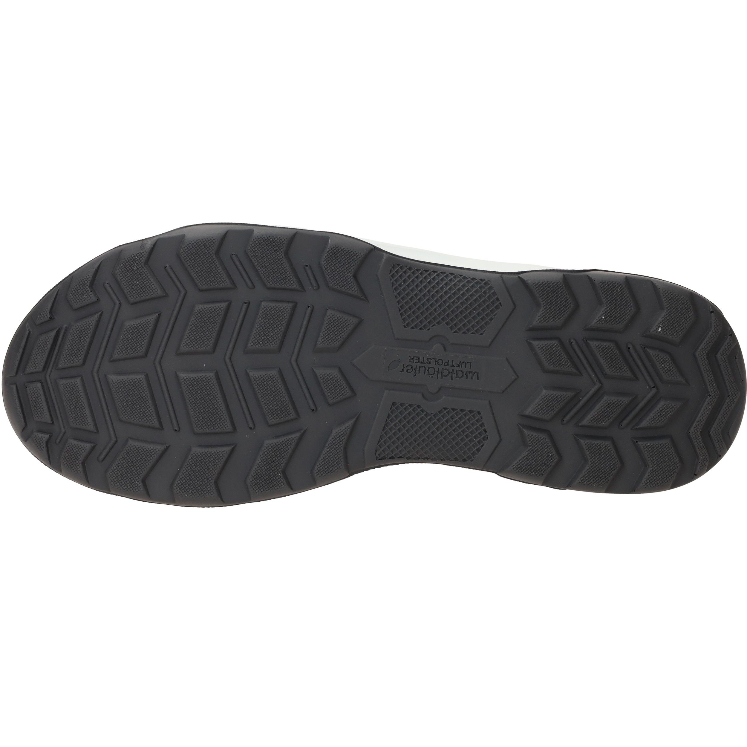 Durlinger Waldlaufer Max