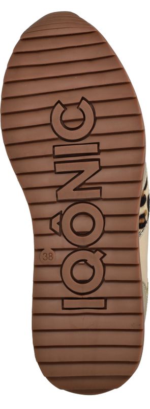 Durlinger IQÔNIC