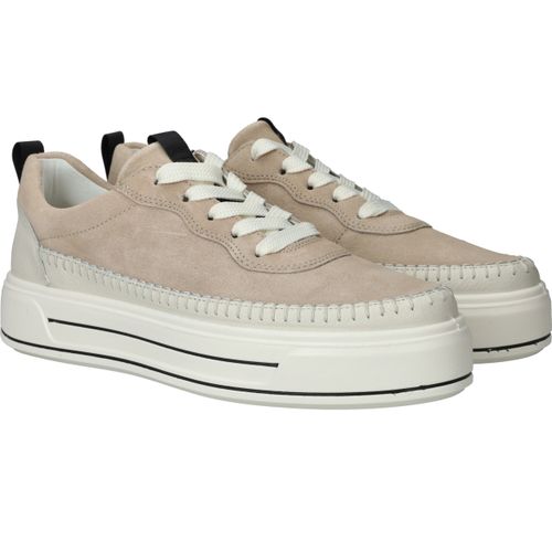 Durlinger Ara Canberra 3.0