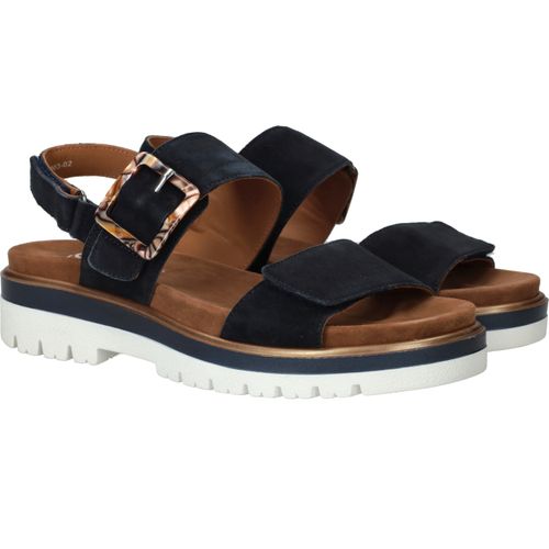 Durlinger Ara Malaga S