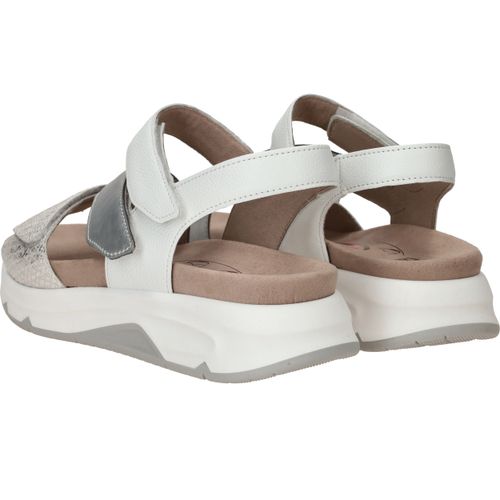 Durlinger Gabor Rollingsoft