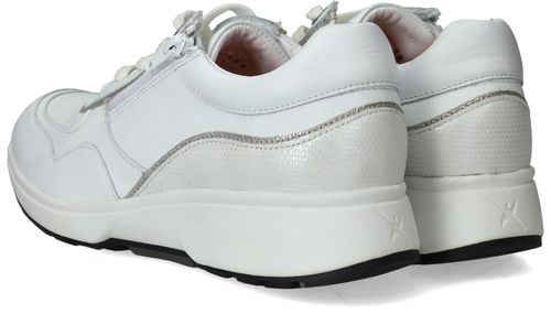 Durlinger Xsensible Lima Stretchwalker