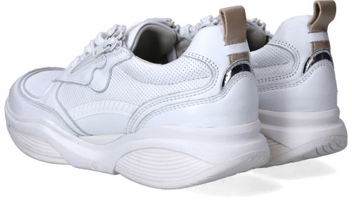 Durlinger Xsensible SWX21 Stretchwalker