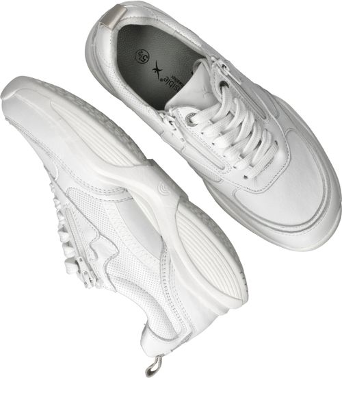 Durlinger Xsensible SWX21 Stretchwalker