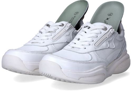 Durlinger Xsensible SWX21 Stretchwalker