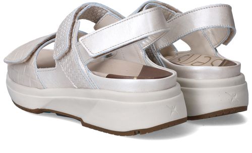 Durlinger Xsensible Aruba Stretchwalker