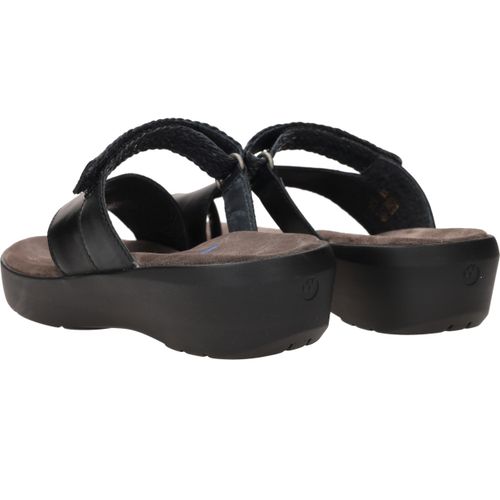 Durlinger Wolky Collins