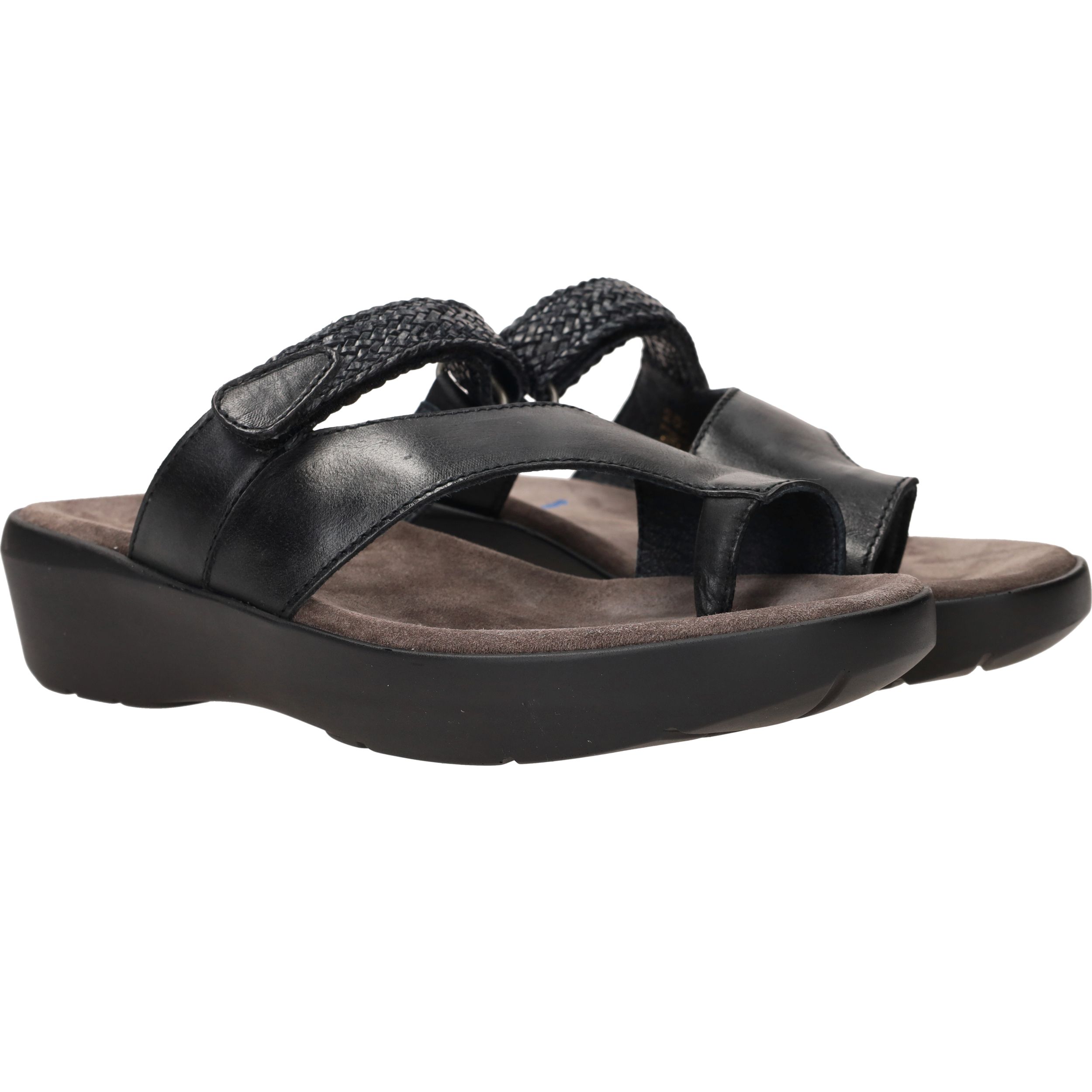 Durlinger Wolky Collins