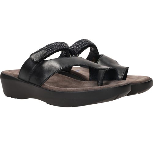 Durlinger Wolky Collins