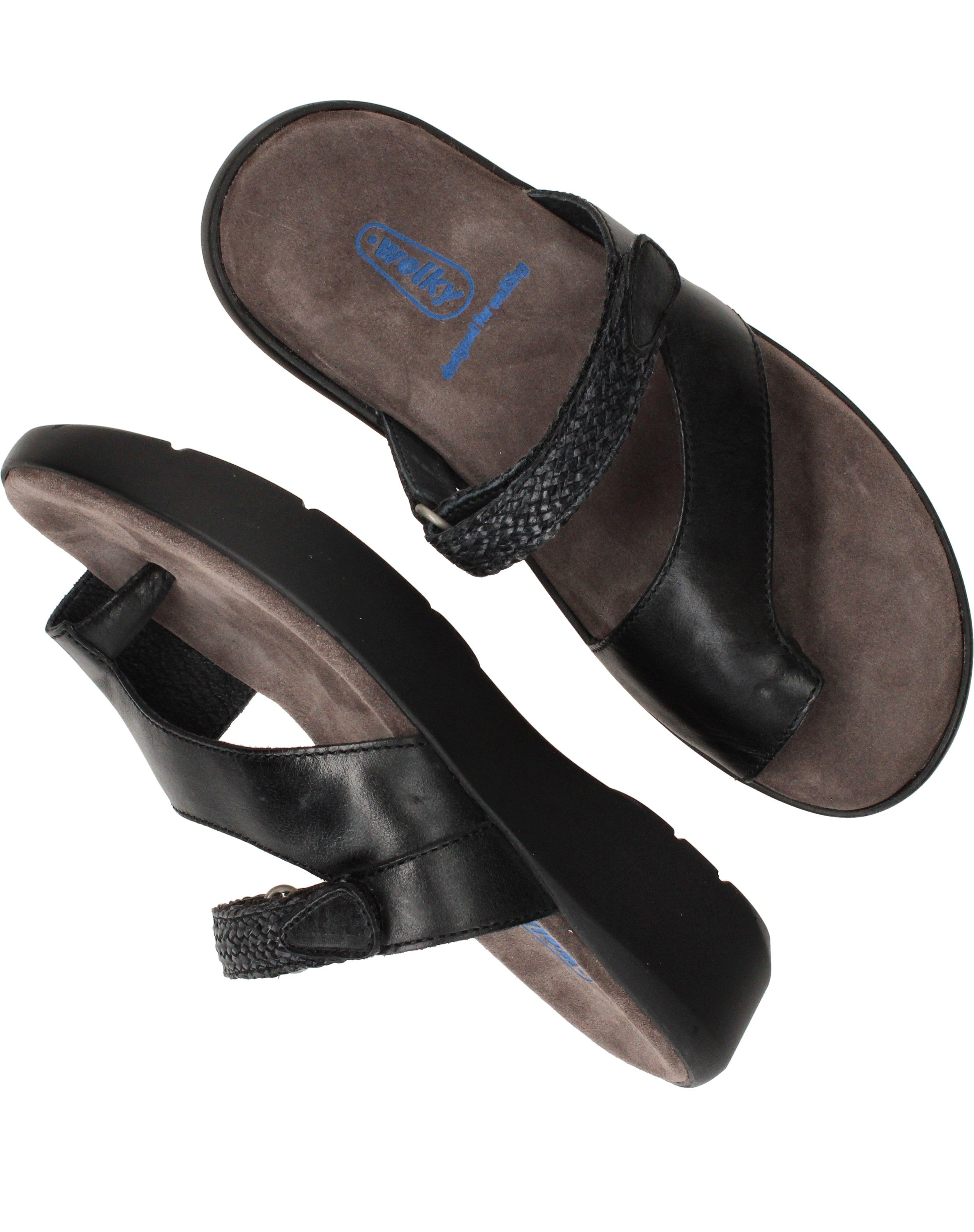 Durlinger Wolky Collins