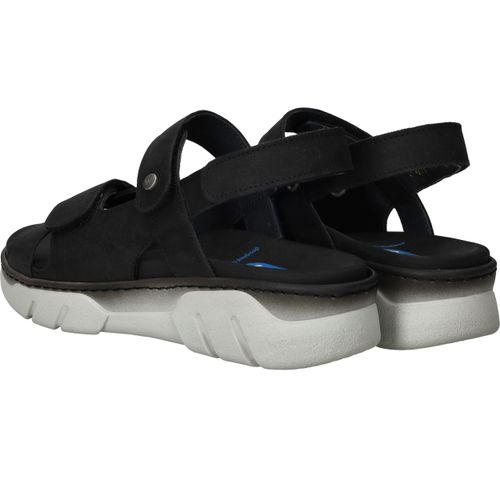 Durlinger Wolky Rapid Gobi