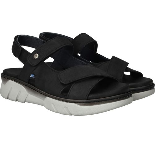 Durlinger Wolky Rapid Gobi