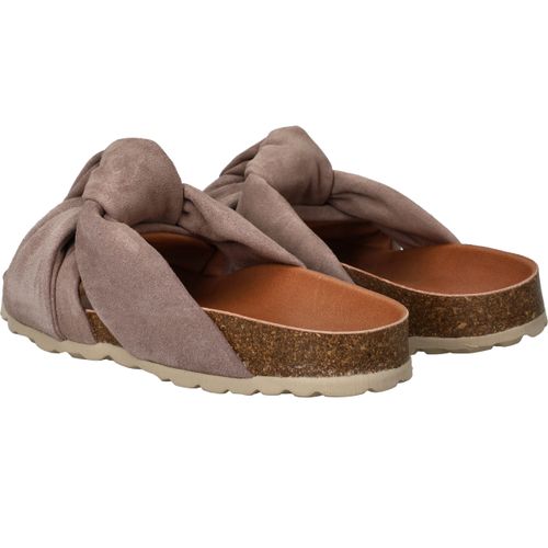 Durlinger Verbenas Rainbow