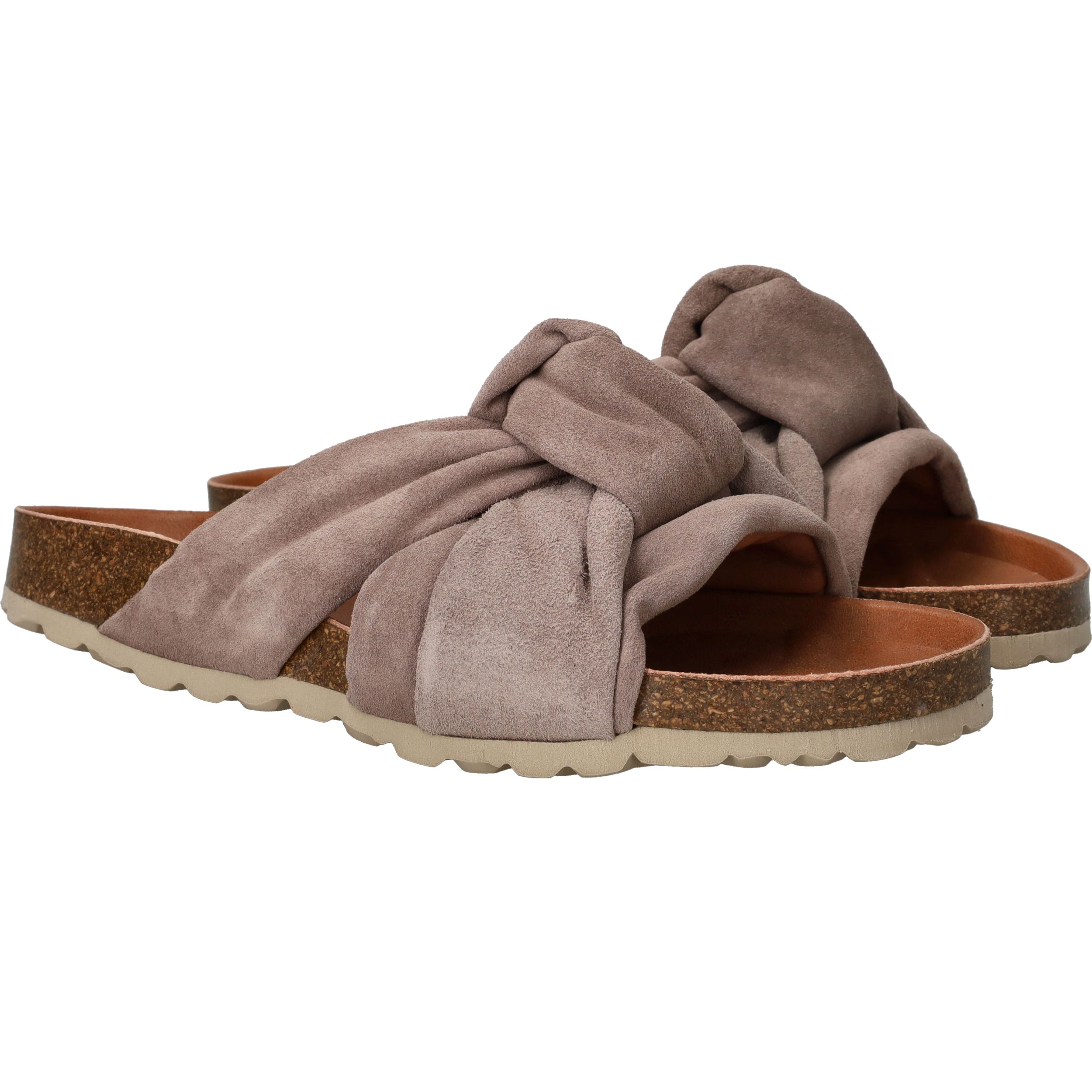 Durlinger Verbenas Rainbow