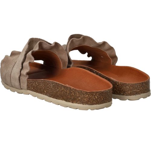 Durlinger Verbenas Rocio Serraje