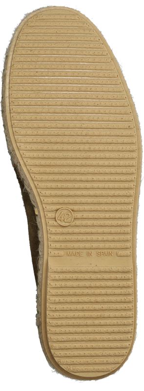 Durlinger Verbenas Tom