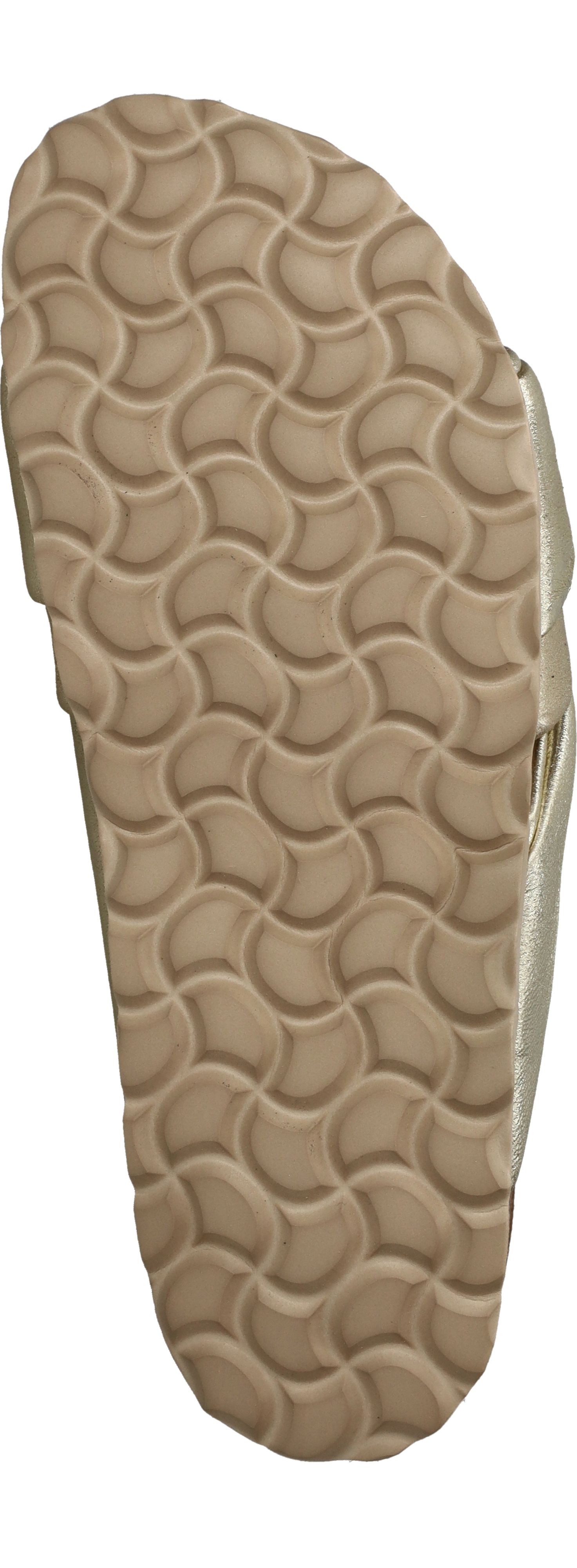 Durlinger Verbenas Viena