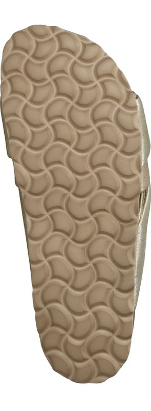 Durlinger Verbenas Viena