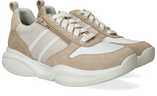 Durlinger Xsensible SWX3 Stretchwalker