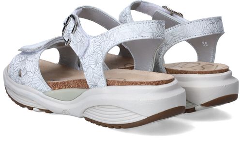 Durlinger Xsensible Skala Stretchwalker