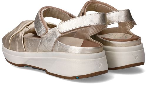 Durlinger Xsensible Martinique Stretchwalker