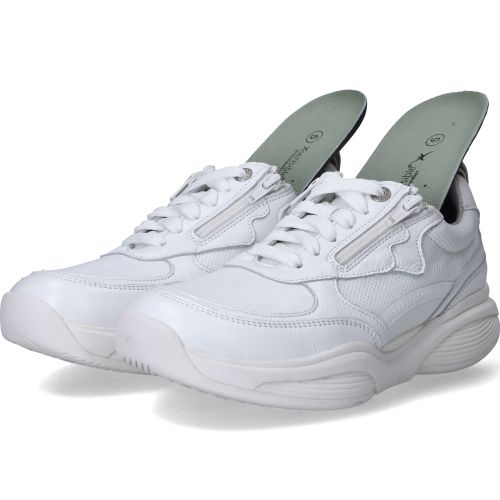 Durlinger Xsensible SWX21 Stretchwalker