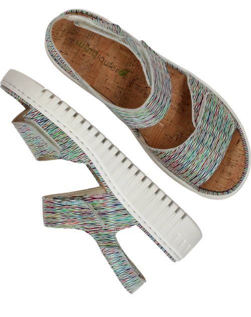 Durlinger Waldlaufer Willow