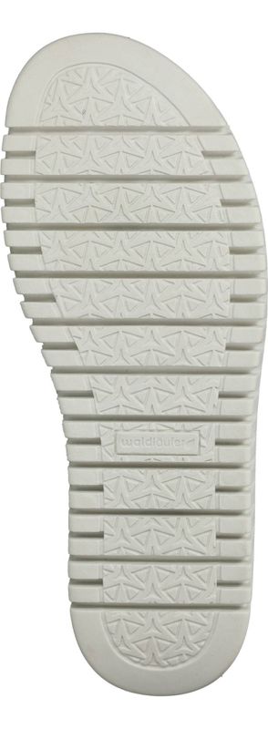 Durlinger Waldlaufer Willow