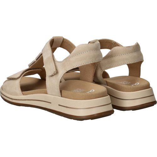 Durlinger Ara Osaka-S