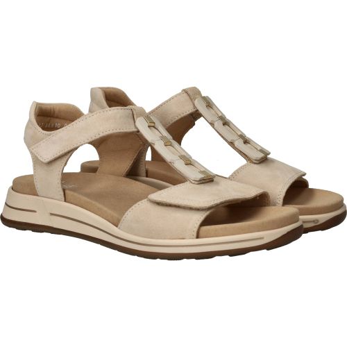 Durlinger Ara Osaka-S